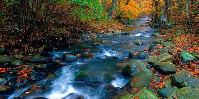 1680x1050 50+] Natural Scenery Wallpaper on WallpaperSafari