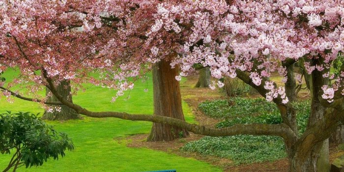 1280x1024 Free Wallpaper - Free Nature wallpaper - Natural Scenery 1 wallpaper