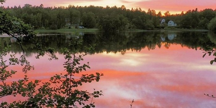 750x1334 Wallpaper Morning nature scenery, lake, water reflection, trees