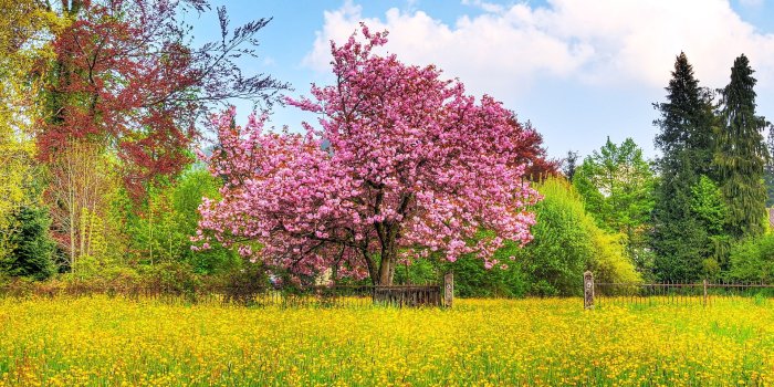 1920x1200 Spring nature scenery wallpaper | 1920x1200 | #31855