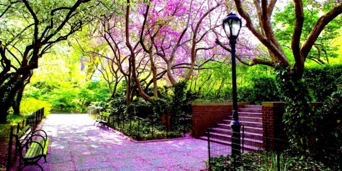 1284x698 Nature Scenery Benches Green Avenue Hd Wallpaper Desktop