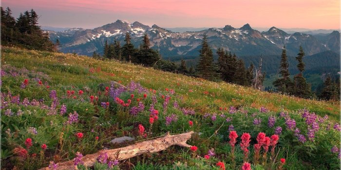 1600x1170 Natural Scenery Wallpaper Powerpoint To Video Converter - Tatoosh