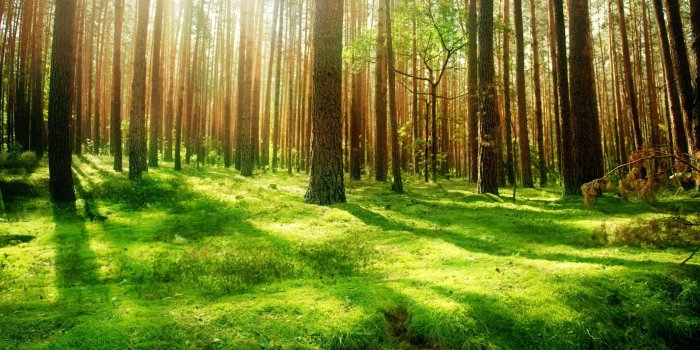 2560x1440 Beautiful nature scenery wallpapers Gallery