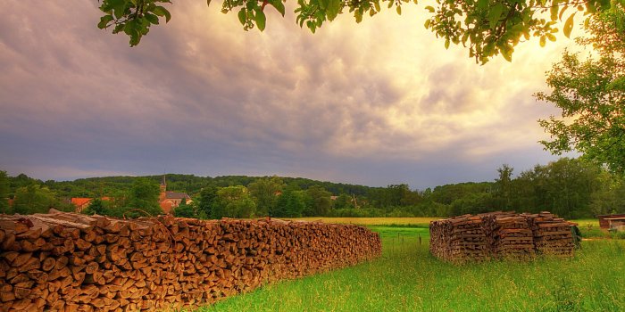 2560x1600 Landscape / Meadow Summer-beautiful Natural Scenery - Hd Dps Nature