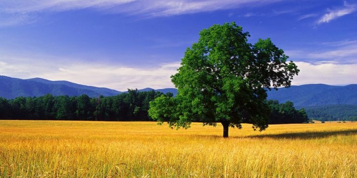 1280x800 8421 beautiful natural scenery wallpapers