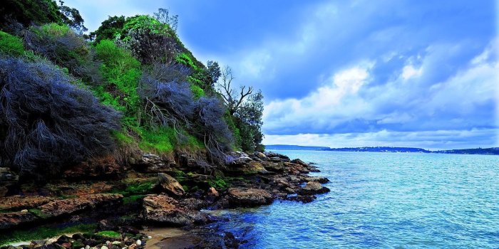 1920x1080 Download Nature Wallpapers Full HD 1080p Photo Desktop Backgrounds