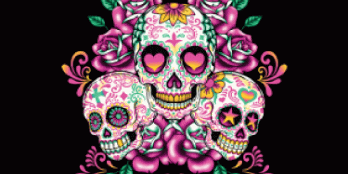 1200x1200 Pink Skull Wallpapers - Top Free Pink Skull Backgrounds