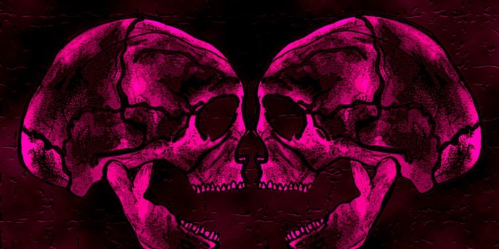 1280x1024 Free download Pink Skull Wallpaper [1280x1024] for your Desktop