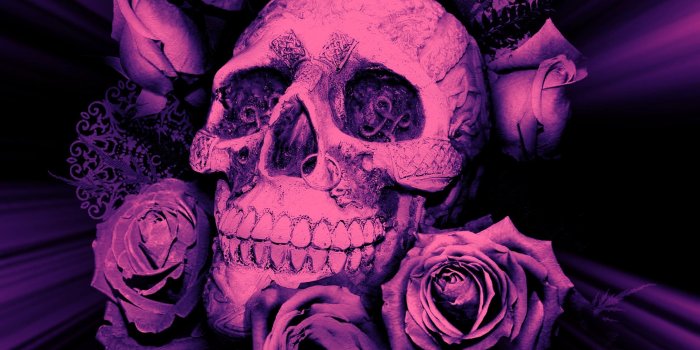 2244x2008 Purple Skulls And Roses Wallpaper - Pink And Purple Skull (#980713