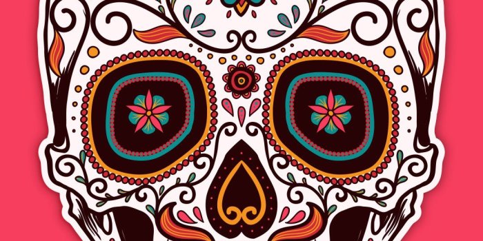 1080x1920 Pink Skull Wallpaper (50+ images)