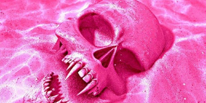 1024x786 Pink Skull Wallpapers