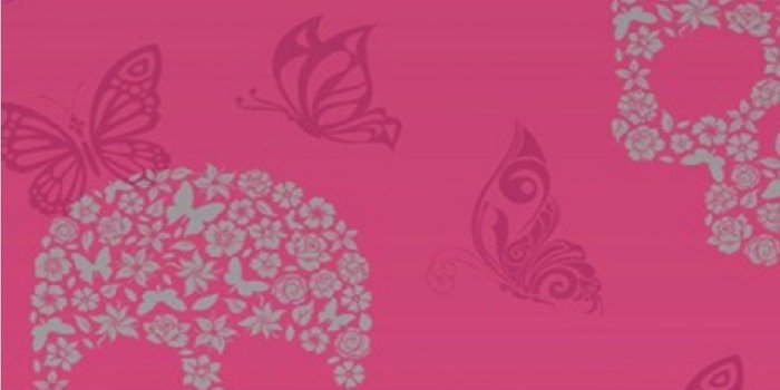 1000x1000 Skull Wallpaper For Home Uk | Wallpaper Home