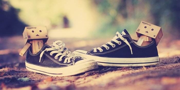 1920x1200 Danbo Converse Wallpaper #6785703