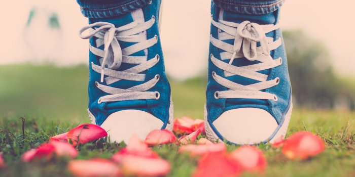 3840x2160 rose love shose and converse hd 4k wallpaper and background