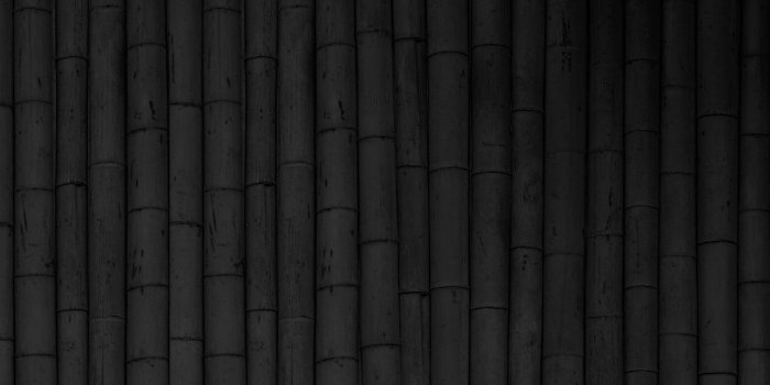 1920x1200 Image result for black bamboo on black background | Branding - INSPO