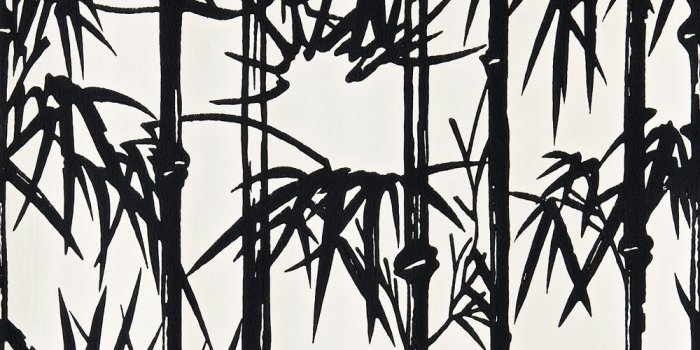 1000x1500 Bamboo BP 2119 in 2019 | Black & White Wallpapers and Paints