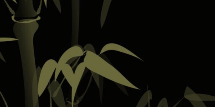 707x1257 Bamboo Wallpaper 11 | Bamboo Wallpapers Bamboo | Wallpapers