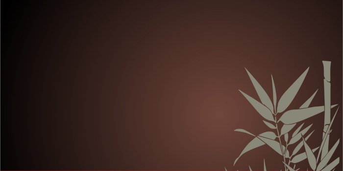 1332x850 Wallpaper black, bamboo, Bordeaux images for desktop, section