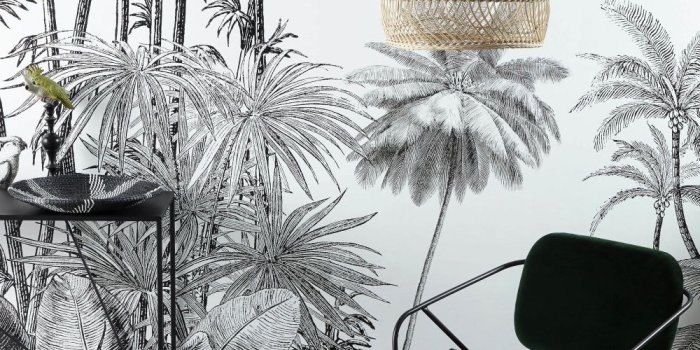 1000x1000 Black And White Jungle Print Wallpaper Paradise - Bamboo Clip Art