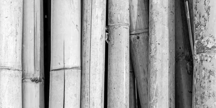 1000x1000 wall26 - Bamboo Wall, Black and White - Removable Wall Mural |  Self-Adhesive Large Wallpaper - 100x144 inches
