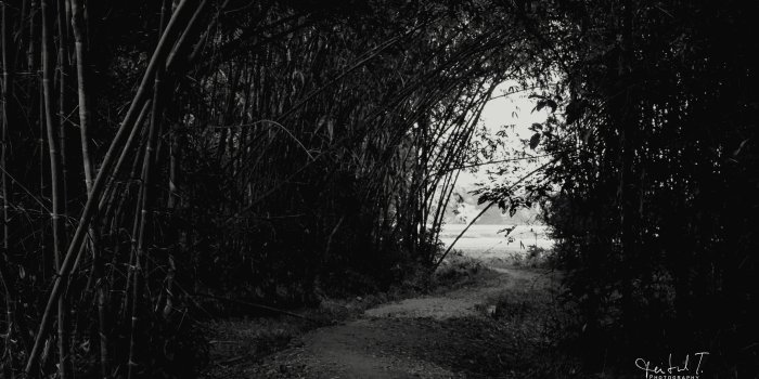 5120x3200 WallpapersWide.com | High Resolution Desktop Wallpapers tagged with