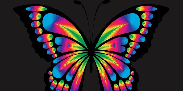 1440x2560 Download wallpaper 1440x2560 butterfly, shine, bright, multicolored