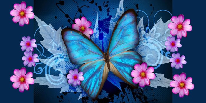 1280x800 Download Download Blue Butterfly Galaxy Wallpaper 1280x800 Full HD