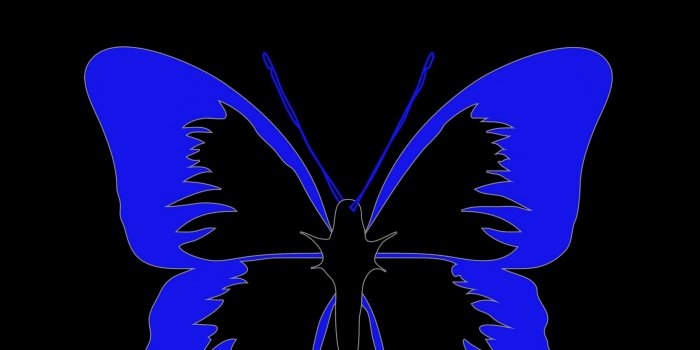 2160x3840 Download wallpaper 2160x3840 butterfly, minimalism, black, blue