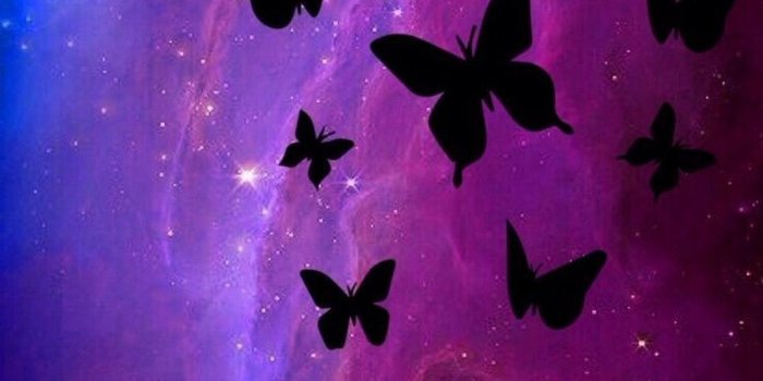 1080x1920 Black Butterfly Wallpaper (68+ images)