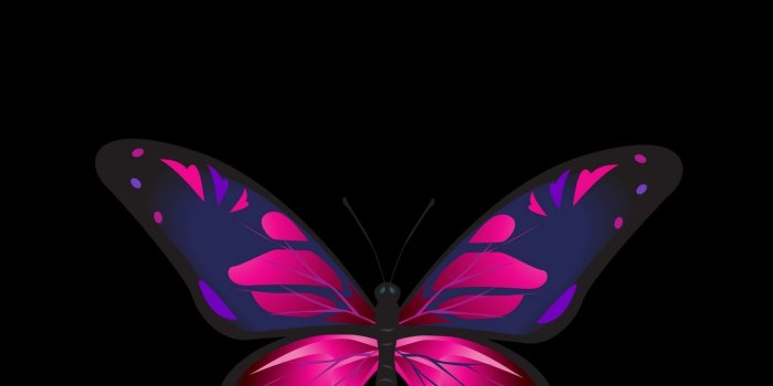 1440x2560 Download wallpaper 1440x2560 butterfly, patterns, wings, dark