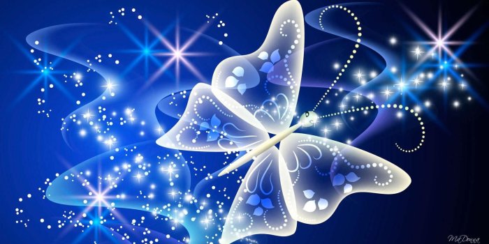 1920x1080 Blue Butterfly Wallpaper Background (63+ images)