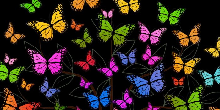1440x2560 Download wallpaper 1440x2560 butterfly, tree, patterns, colorful qhd