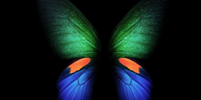2560x2560 Samsung Galaxy Fold Butterfly Stock 4K Wallpapers | HD Wallpapers