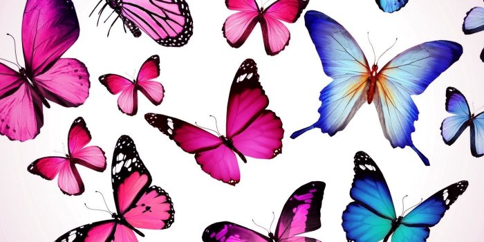 1440x2560 Download wallpaper 1440x2560 butterfly, drawing, flying, colorful
