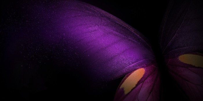 1200x1200 Download Samsung Galaxy Fold Wallpapers leaked from One UI 1.2