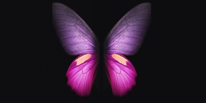 1440x2880 Downaload Samsung Galaxy Fold, pink-purple butterfly wallpaper