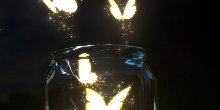 1080x1920 Free Butterfly Backgrounds For Android
