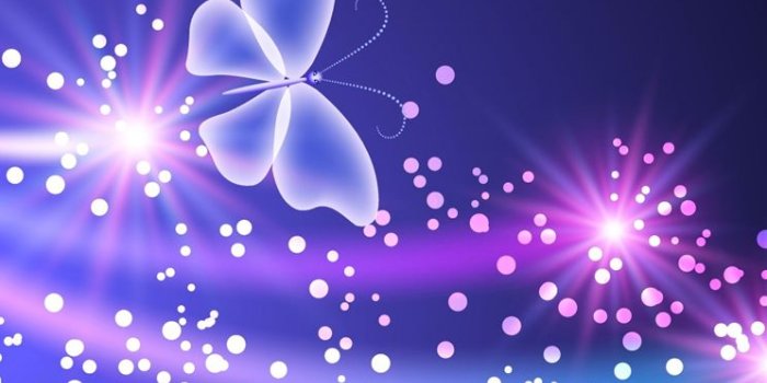 744x1392 Butterfly Wallpaper For Iphone (44+ images) on Genchi.info