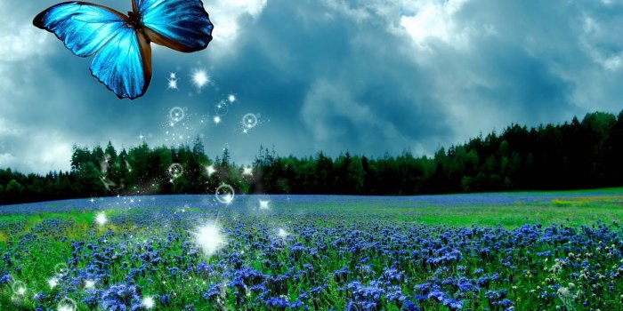 1440x1280 Butterfly Glow backgrounds Galaxy S3 1440x1280 Wallpaper HD_Samsung