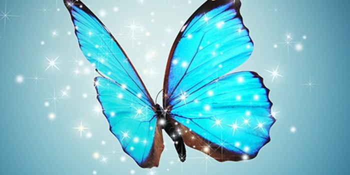 1080x1920 Blue butterfly Wallpaper | iPhone Wallpaper