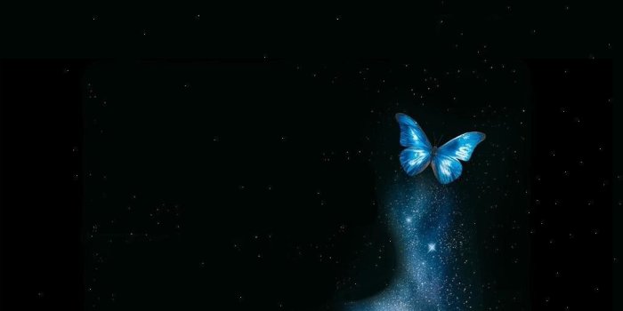 1024x768 Magical Butterfly Wallpaper