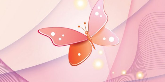 1080x1920 Butterfly Wallpaper For Android