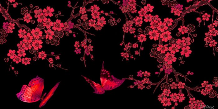 1920x1080 Butterfly Wallpaper Desktop ·① WallpaperTag