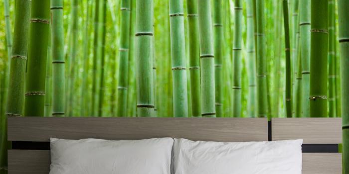 1080x1080 Paisley Wallpaper Luxe Walls