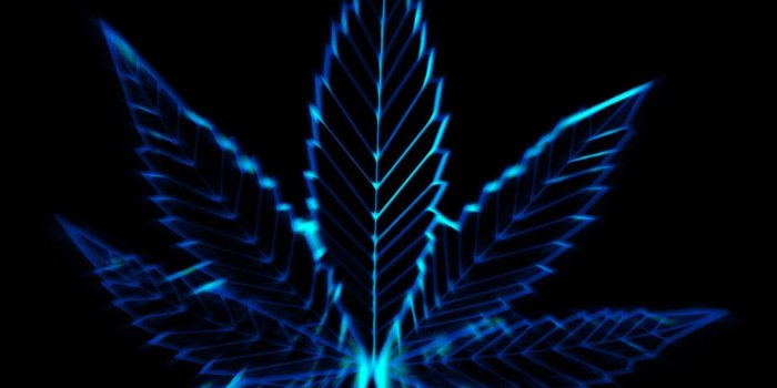 1440x1080 Weed Wallpapers