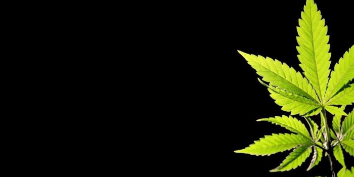 1280x1024 4K Marijuana Wallpapers - Top Free 4K Marijuana Backgrounds