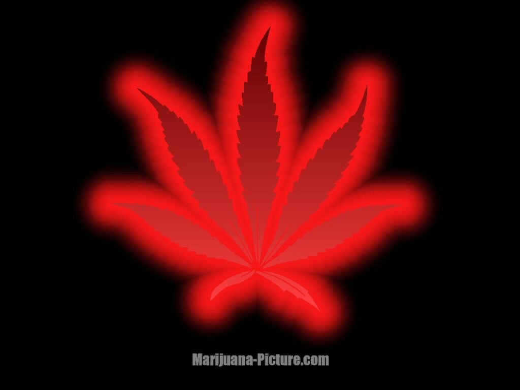 1024x768 pic new posts: Weed Wallpaper Free