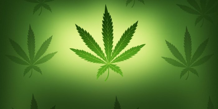 1920x1080 New York Assembly to hold hearings on legalizing marijuana