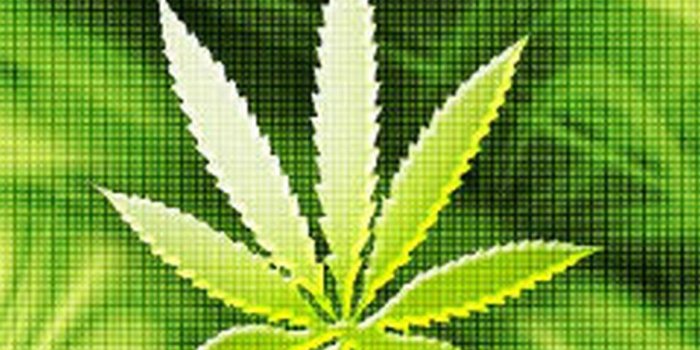 1200x1600 WeedPad