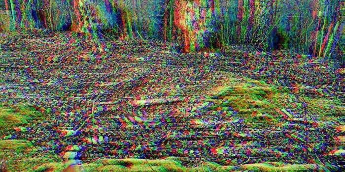 1024x1280 New dimension | WORLD WIDE WEED! in 2019 | Marijuana wallpaper